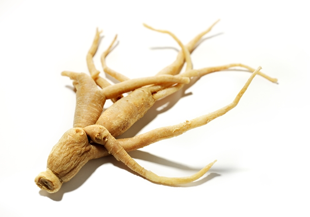 ginseng root isolated