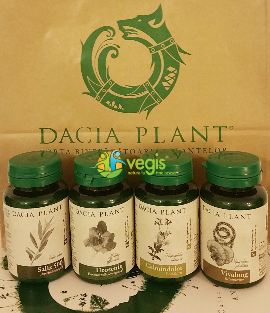 dacia plant rebranding