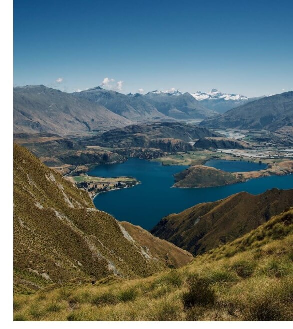 locatie geografica arbori de Manuka