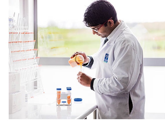 studii clinice miere de Manuka