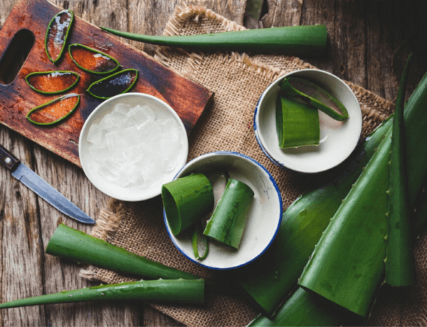 Gel de Aloe Vera
