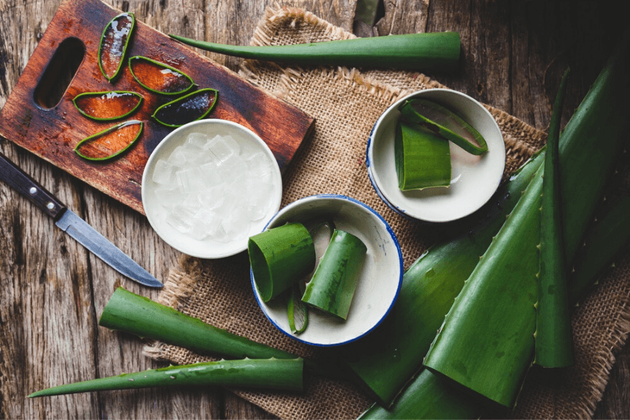 Gel de Aloe Vera