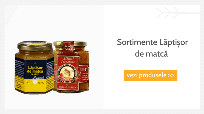 Sortimente Laptisor de matca