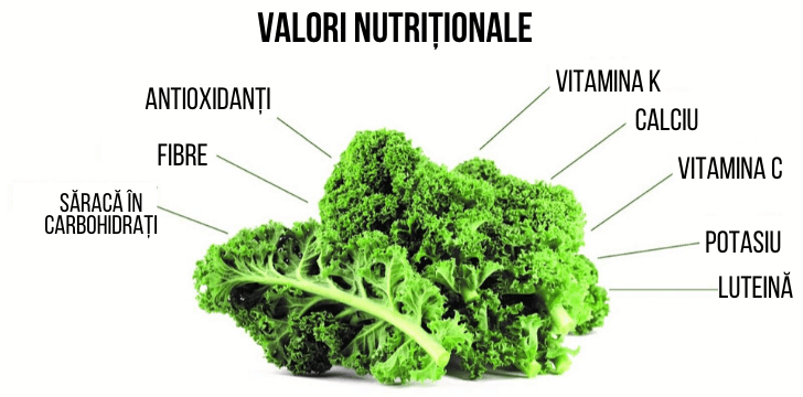 Valori nutritionale varza kale