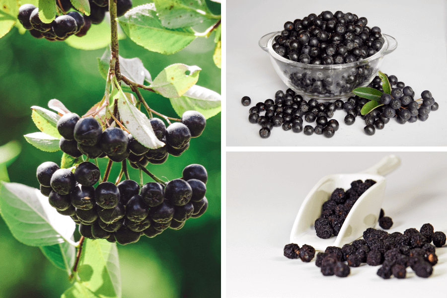 Antioxidanți fructe
