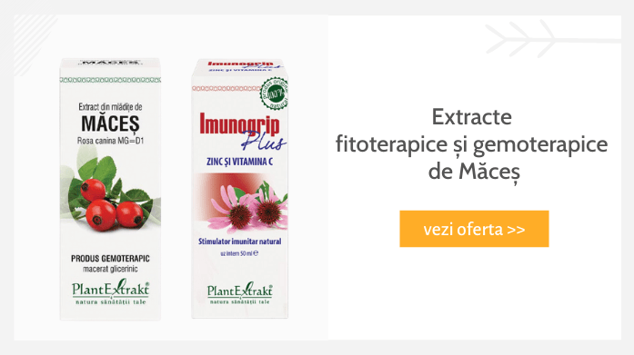 extracte fitoterapice si gemoterapice de maces