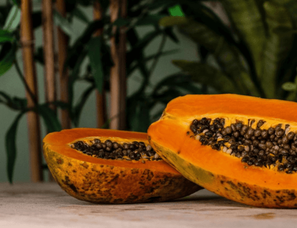 papaya