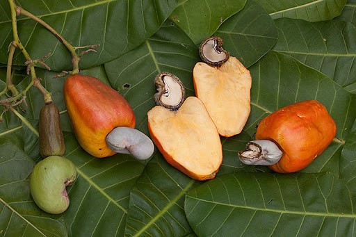 beneficii caju