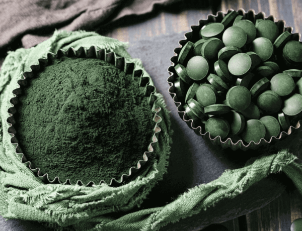 Chlorella