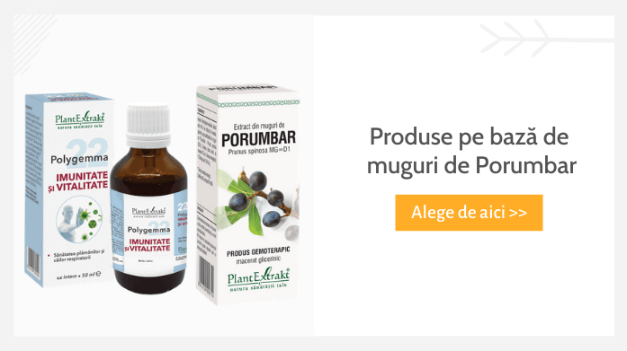 Produse pe bază de muguri de porumbar