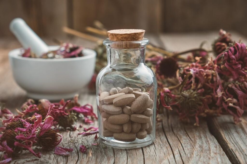 echinacea, un antibiotic natural