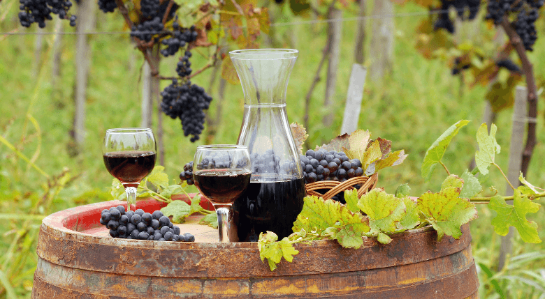 resveratrol vin rosu