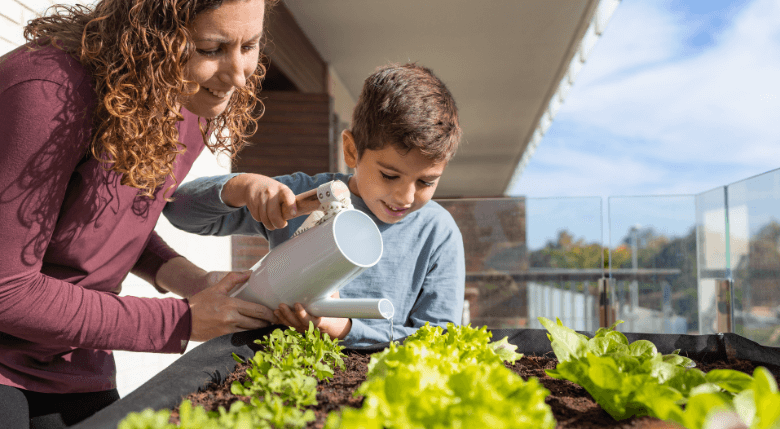 mamă și fiu udând salata cultivată pe balcon