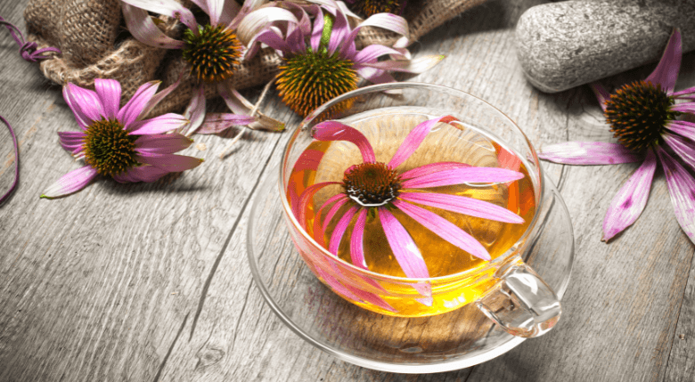 ceai de echinacea