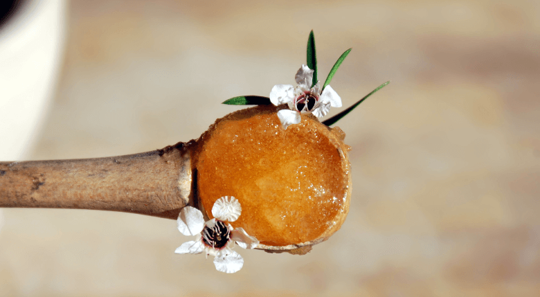 lingurita cu miere de manuka - utilizarile mierii de manuka